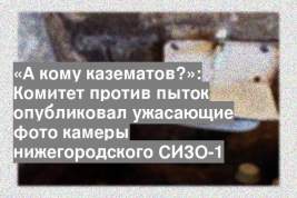 «А кому казематов?»: Комитет против пыток опубликовал ужасающие фото камеры нижегородского СИЗО-1