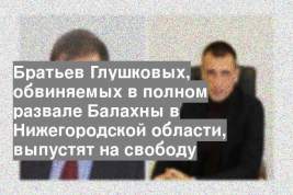 Братьев Глушковых, обвиняемых в полном развале Балахны в Нижегородской области, выпустят на свободу