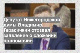 Депутат Нижегородской думы Владимир Герасичкин отозвал заявление о сложении полномочий