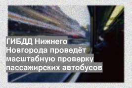 ГИБДД Нижнего Новгорода проведёт масштабную проверку пассажирских автобусов