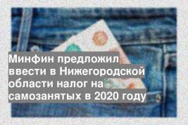 Минфин предложил ввести в Нижегородской области налог на самозанятых в 2020 году