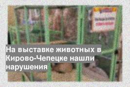 На выставке животных в Кирово-Чепецке нашли нарушения