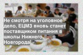 Не смотря на уголовное дело, ЕЦМЗ вновь станет поставщиком питания в школы Нижнего Новгорода