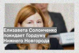 Елизавета Солонченко покидает Гордуму Нижнего Новгорода