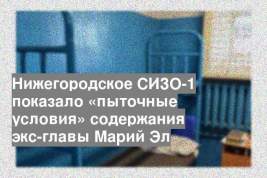 Нижегородское СИЗО-1 показало «пыточные условия» содержания экс-главы Марий Эл