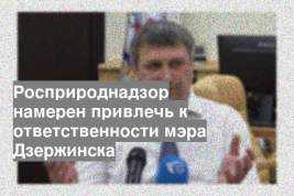 Росприроднадзор намерен привлечь к ответственности мэра Дзержинска