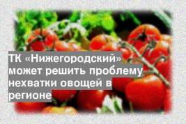 ТК «Нижегородский» может решить проблему нехватки овощей в регионе