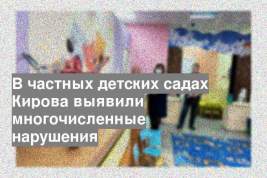 В частных детских садах Кирова выявили многочисленные нарушения
