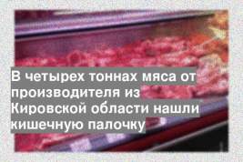 В четырех тоннах мяса от производителя из Кировской области нашли кишечную палочку
