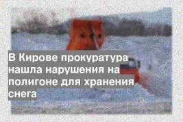 В Кирове прокуратура нашла нарушения на полигоне для хранения снега