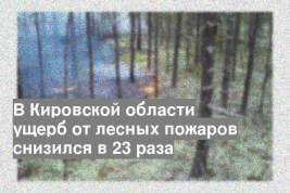 В Кировской области ущерб от лесных пожаров снизился в 23 раза