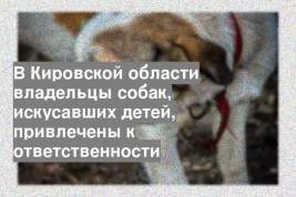 В Кировской области владельцы собак, искусавших детей, привлечены к ответственности