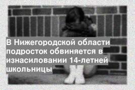 В Нижегородской области подросток обвиняется в изнасиловании 14-летней школьницы