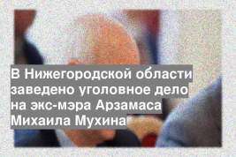 В Нижегородской области заведено уголовное дело на экс-мэра Арзамаса Михаила Мухина