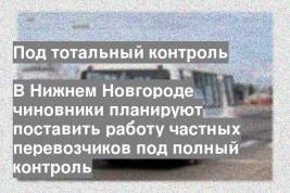 В Нижнем Новгороде чиновники планируют поставить работу частных перевозчиков под полный контроль