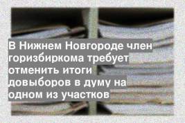 В Нижнем Новгороде член горизбиркома требует отменить итоги довыборов в думу на одном из участков