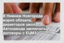 В Нижнем Новгороде мэрия обязала директоров школ Автозавода заключить договоры с ЕЦМЗ