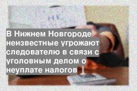 В Нижнем Новгороде неизвестные угрожают следователю в связи с уголовным делом о неуплате налогов