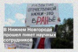 В Нижнем Новгороде прошел пикет научных сотрудников