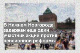 В Нижнем Новгороде задержан еще один участник акции против пенсионной реформы