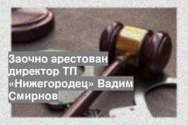 Заочно арестован директор ТП «Нижегородец» Вадим Смирнов