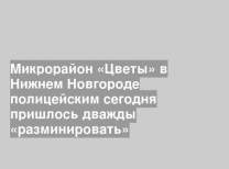 Микрорайон «Цветы» в Нижнем Новгороде полицейским сегодня пришлось дважды «разминировать»