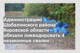 Администрацию Шабалинского района Кировской области обязали ликвидировать 4 незаконные свалки