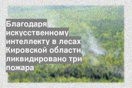 Благодаря искусственному интеллекту в лесах Кировской области ликвидировано три пожара