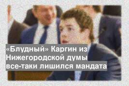 «Блудный» Каргин из Нижегородской думы все-таки лишился мандата
