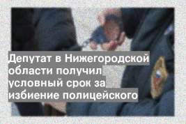 Депутат в Нижегородской области получил условный срок за избиение полицейского