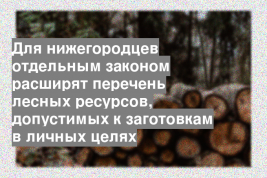 Для нижегородцев отдельным законом расширят перечень лесных ресурсов, допустимых к заготовкам в личных целях