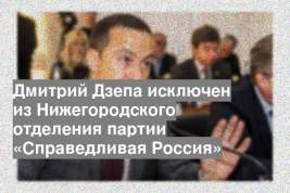 Дмитрий Дзепа исключен из Нижегородского отделения партии «Справедливая Россия»