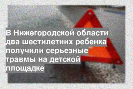 В Нижегородской области два шестилетних ребенка получили серьезные травмы на детской площадке