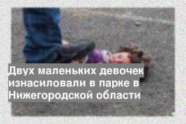 Двух маленьких девочек изнасиловали в парке в Нижегородской области