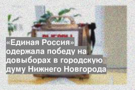 «Единая Россия» одержала победу на довыборах в городскую думу Нижнего Новгорода