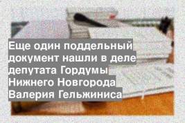 Еще один поддельный документ нашли в деле депутата Гордумы Нижнего Новгорода Валерия Гельжиниса