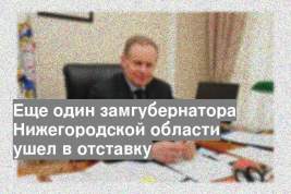 Еще один замгубернатора Нижегородской области ушел в отставку