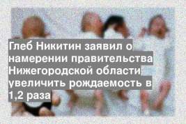 Глеб Никитин заявил о намерении правительства Нижегородской области увеличить рождаемость в 1,2 раза