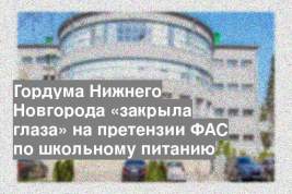 Гордума Нижнего Новгорода «закрыла глаза» на претензии ФАС по школьному питанию