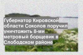 Губернатор Кировской области Соколов поручил уничтожить 8-ми метровый борщевик в Слободском районе