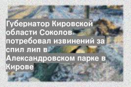 Губернатор Кировской области Соколов потребовал извинений за спил лип в Александровском парке в Кирове