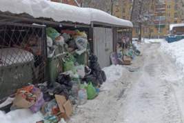 Губернатор Нижегородской области Глеб Никитин поручил разобраться с вывозом мусора в областном центре