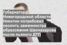 Губернатор Нижегородской области Никитин потребовал уволить замминистра образования Шахназарова после пьяного ДТП
