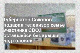 Губернатор Соколов подарил телевизор семье участника СВО, оставшейся без крыши над головой