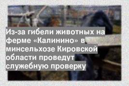 Из-за гибели животных на ферме «Калинино» в минсельхозе Кировской области проведут служебную проверку