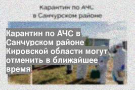 Карантин по АЧС в Санчурском районе Кировской области могут отменить в ближайшее время