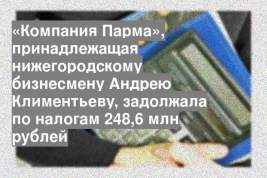«Компания Парма», принадлежащая нижегородскому бизнесмену Андрею Климентьеву, задолжала по налогам 248,6 млн рублей