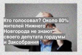 Кто голосовал? Около 80% жителей Нижнего Новгорода не знают своего депутата гордумы и Заксобрания