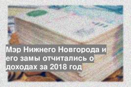 Мэр Нижнего Новгорода и его замы отчитались о доходах за 2018 год