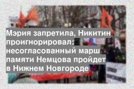 Мэрия запретила, Никитин проигнорировал: несогласованный марш памяти Немцова пройдет в Нижнем Новгороде